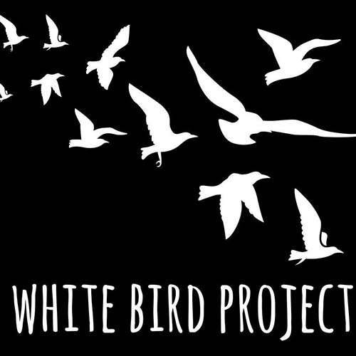 The White Bird Project'