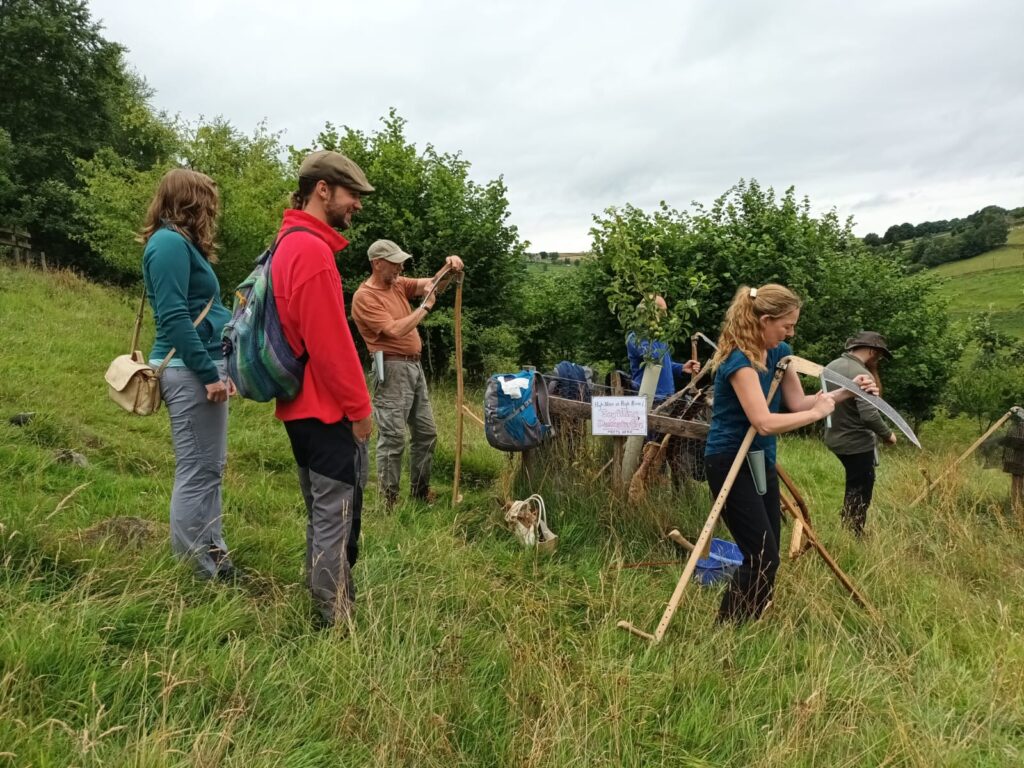 Scything Demonstration Meadows Day 2025 High Hirst Woodmeadow