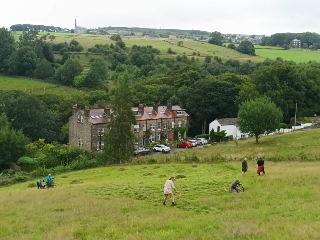 Learn to Scythe 2025 High Hirst Woodmeadow - Photo Credit Unknown