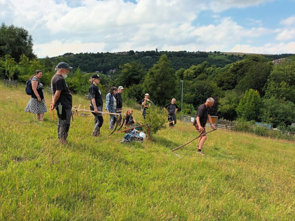 Learn to Scythe 2025 High Hirst Woodmeadow - Photo Credit Unknown