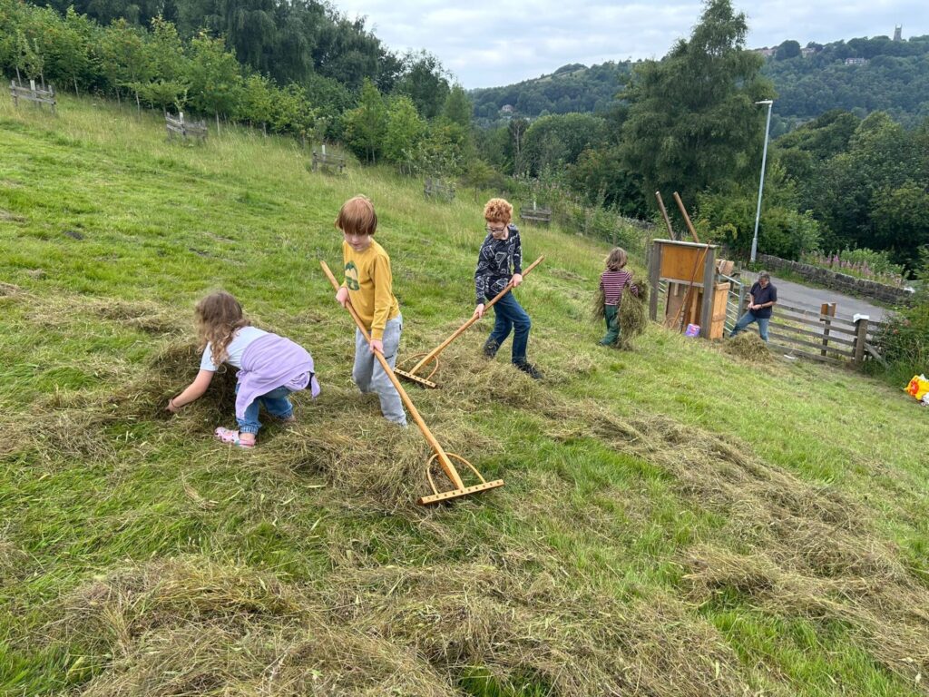 Haytime 2025 High Hirst Woodmeadow - Photo credit Unknown