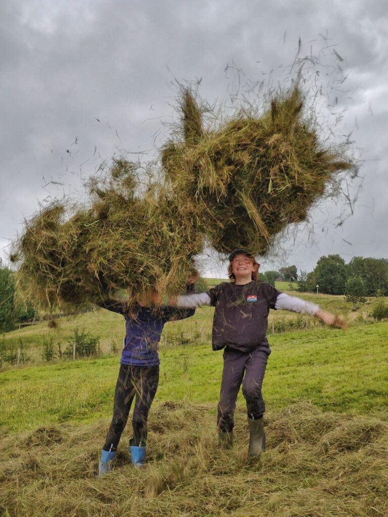 Haytime 2025 High Hirst Woodmeadow - Photo credit Unknown