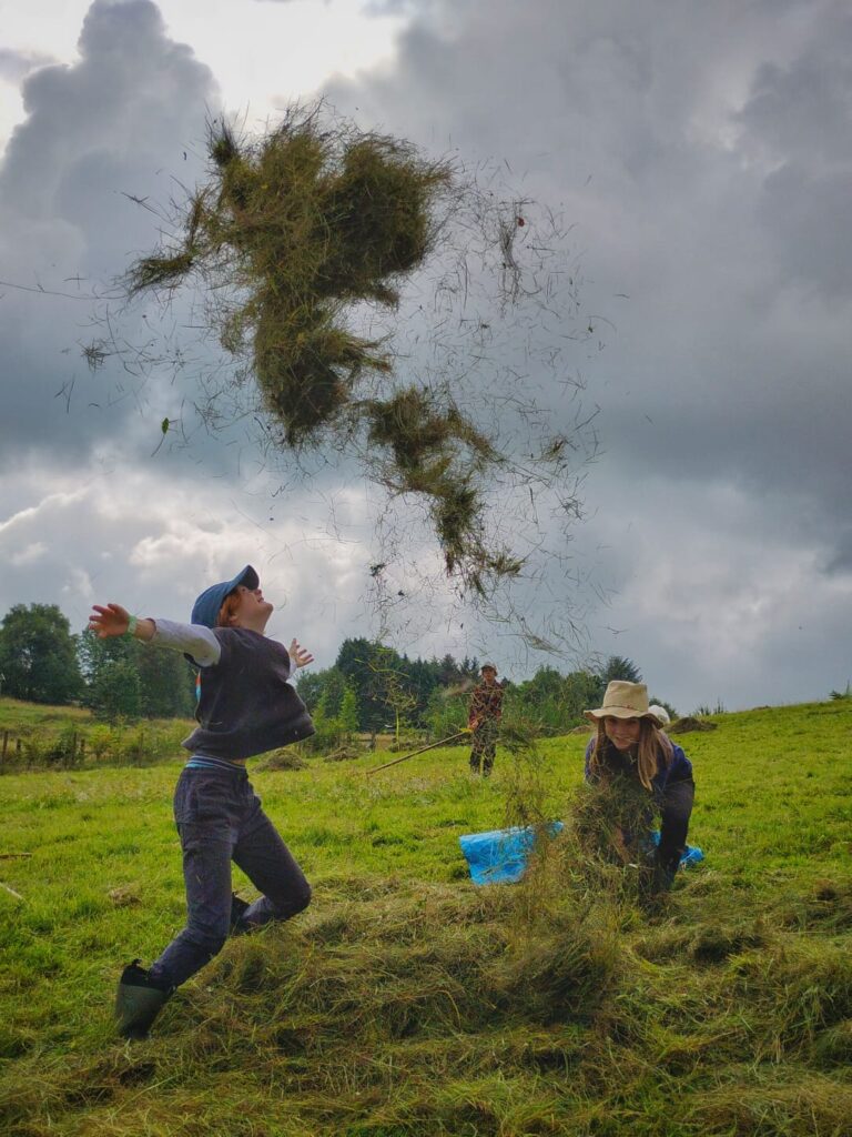 Haytime 2025 High Hirst Woodmeadow - Photo credit Unknown