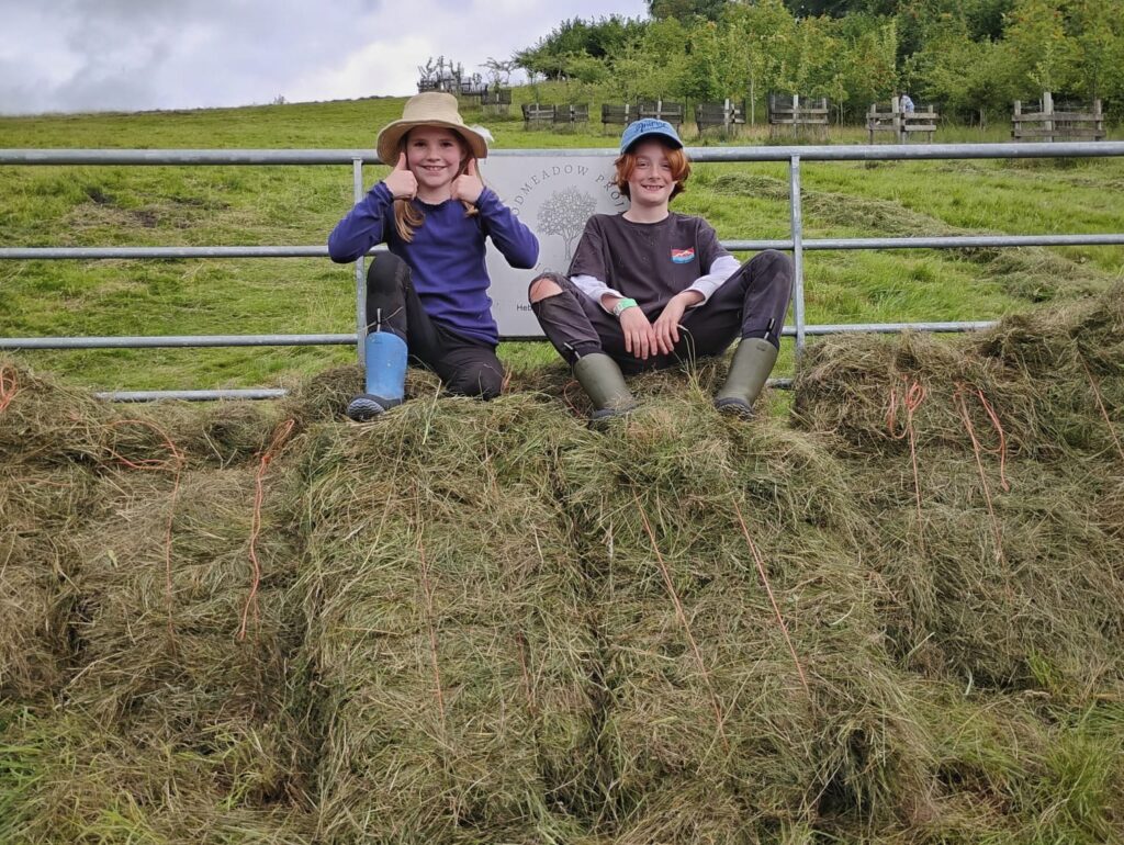 Haytime 2025 High Hirst Woodmeadow - Photo credit Unknown