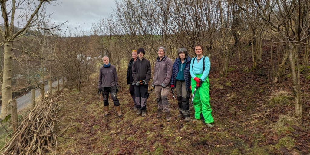The image shows a group of six volunteers standing amongst the coppice on High Hirst Woodmeadow, taking a short break from the workday. Behind them, hills can be seen through the trees.