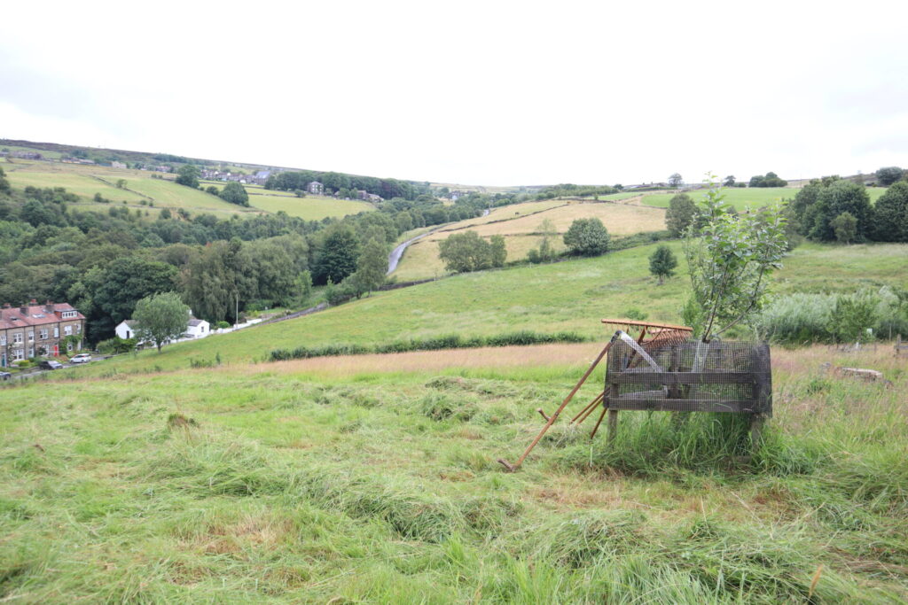 High Hirst 'meadow' after mowing with scythes on Meadows Day 2026